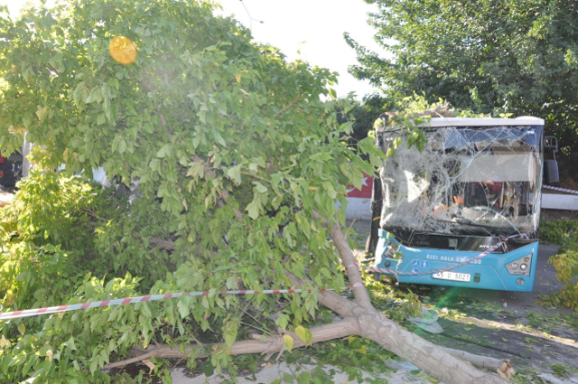 İki araç ile polis memuruna çarpan tır körpüden uçtu; 1 ölü, 2 yaralı