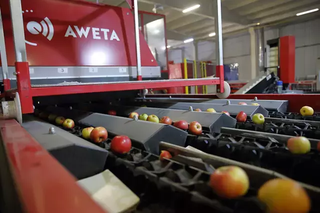 25 ülkeye ihracat yapıyordu! Türkiye'nin gıda devi iflasın eşiğinde