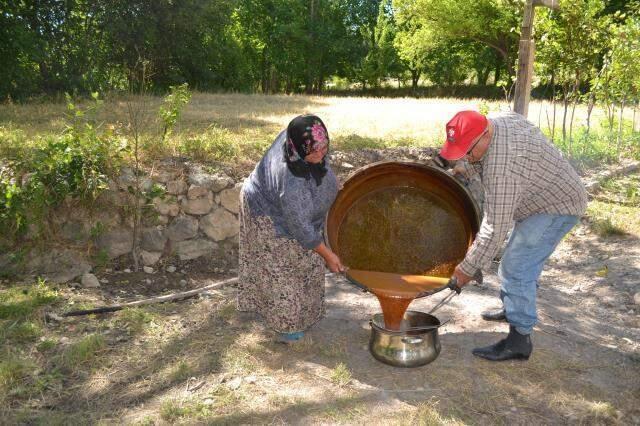 Cumhurbaşkanı Erdoğan'ın koronaya karşı tavsiye ettiği lezzetin dalından sofraya yolculuğu başladı