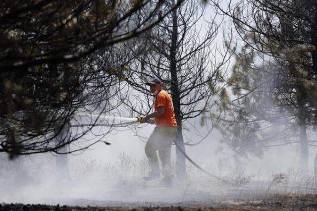 Son Dakika: Ankara'da Atatürk Orman Çiftliği'nde korkutan yangın! 1 kişi kundaklama iddiasıyla gözaltına alındı