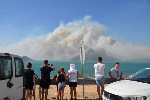 Son Dakika: Türkiye'nin güneyini etkisi altına alan yangınlarla ilgili soruşturma başlatıldı