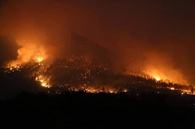 Gece vakti tüyler ürperten görüntülerin geldiği Bodrum'dan kötü haberler peş peşe geliyor! Yangın 2 mahalleye daha sıçradı