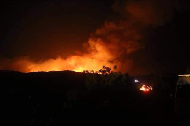 Gece vakti tüyler ürperten görüntülerin geldiği Bodrum'dan kötü haberler peş peşe geliyor! Yangın 2 mahalleye daha sıçradı