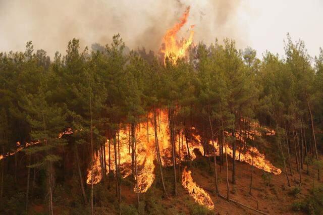 146 yangın kontrol altına alındı, 8 noktada alevlere müdahale ediliyor! İşte il il son durum