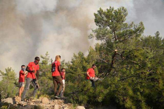 Yangının küle çevirdiği Manavgat'ta çekilen fotoğraf milyonların yüreğini dağladı