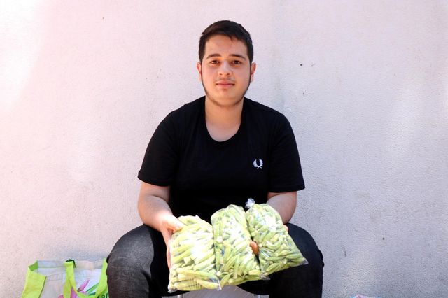 'Yeşil altın' olarak bilinen bamya, kilosu 30 liradan tezgahlara indi