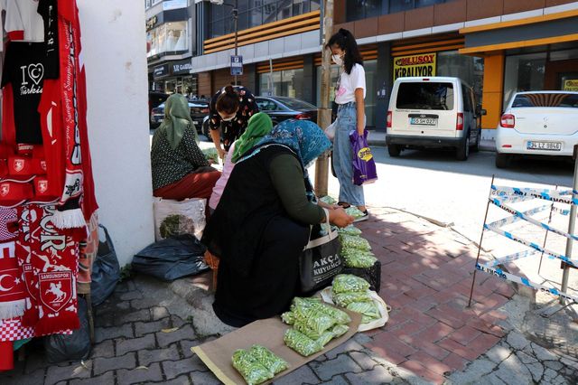 'Yeşil altın' olarak bilinen bamya, kilosu 30 liradan tezgahlara indi