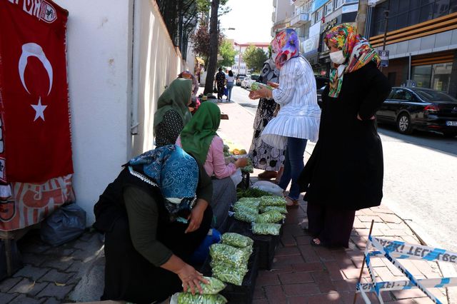 'Yeşil altın' olarak bilinen bamya, kilosu 30 liradan tezgahlara indi