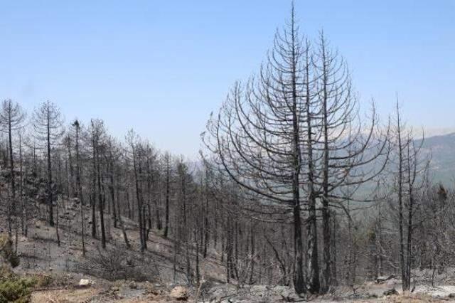 167 yangın kontrol altına alındı, 16 noktada alevlere müdahale ediliyor! İşte il il son durum