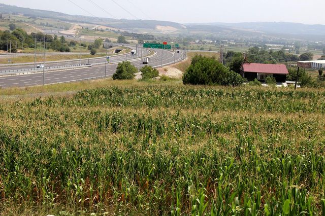 Bir yol yapıldı, Kocaeli'de arsa fiyatları 5 bin liradan 500 bin liraya çıktı
