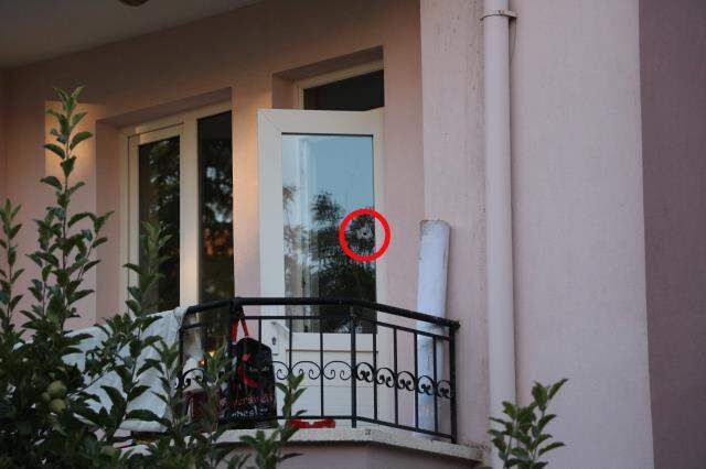 4 kişinin öldüğü olayda komşular konuştu: Silah seslerini çocukların patlattıkları torpil sesi sandık