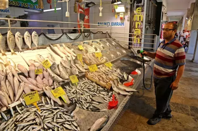 Av yasağı kalktı, tezgahlar istavritle doldu! İşte tezgahlardaki fiyatlar