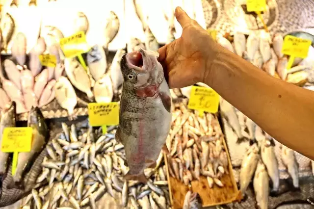 Av yasağı kalktı, tezgahlar istavritle doldu! İşte tezgahlardaki fiyatlar