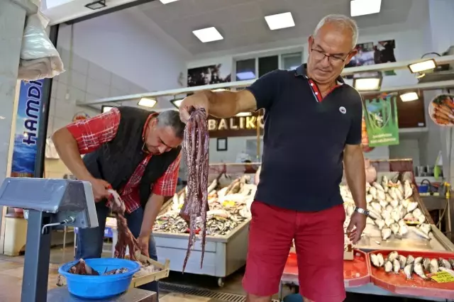 Av yasağı kalktı, tezgahlar istavritle doldu! İşte tezgahlardaki fiyatlar