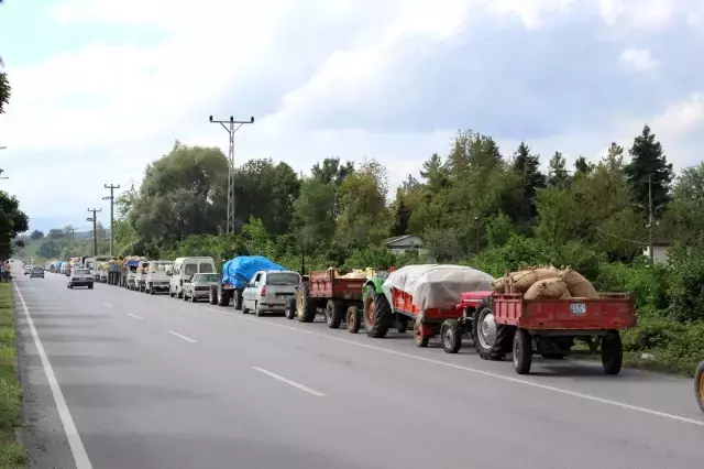 Fındığını satmak isteyen üreticiler, TMO önünde uzun kuyruklar oluşturdu