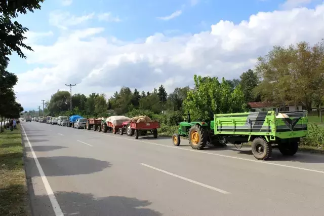 Fındığını satmak isteyen üreticiler, TMO önünde uzun kuyruklar oluşturdu