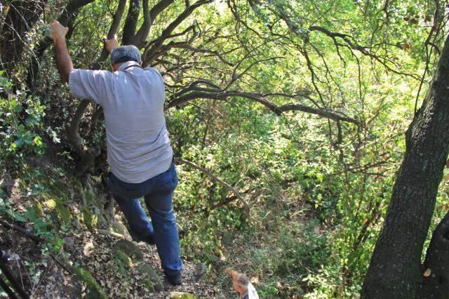 Doğu Roma'nın başkentiydi! Şimdi Türkiye'de dikenlerin ve kayaların arasında keşfedilmeyi bekliyor
