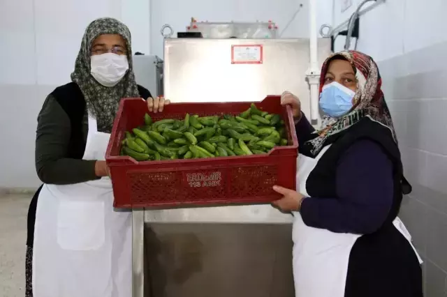 90 bin nüfusu olan ilçede üretilen turşular 22 ülkeye ihraç ediliyor