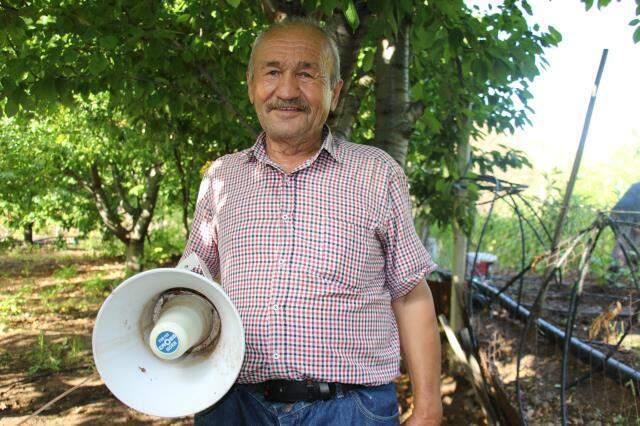 Bahçesine domuz dadanan çifti, kurduğu müzik sistemiyle domuzları uzak tutuyor