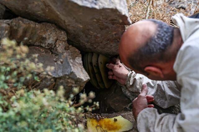 Altın kadar değerli! Kayalıkların arasından bin bir güçle çıkardıkları balın kilosunu 2 bin 500 liradan satıyorlar