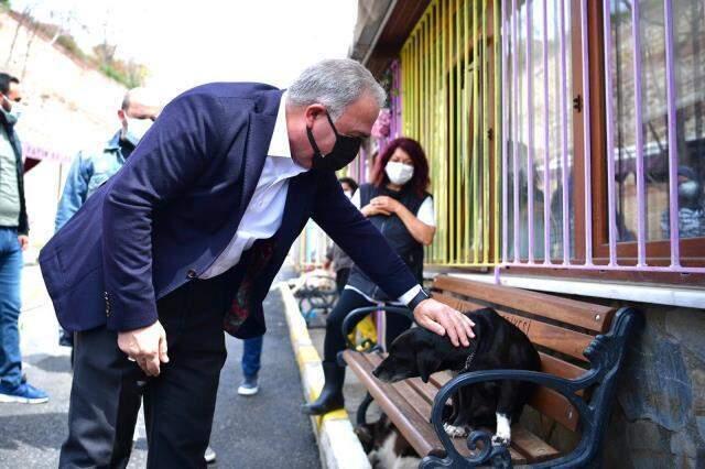 Fatih Belediyesi, Sokak Hayvanları Tedavi Merkezi'ni yarın hizmete açıyor