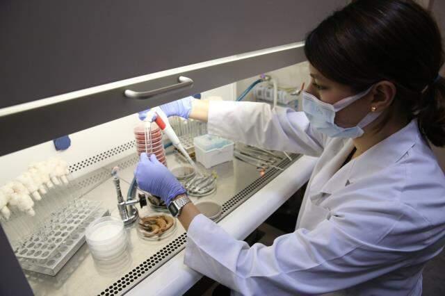 Marmara Denizi'ndeki balıklarla ilgili çarpıcı araştırma! İlk gelen veriler uzmanları telaşlandırdı