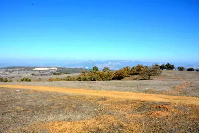 6,5 milyar dolarlık altın rezervi keşfedilmişti! Söğüt'te üretim 2022 sonunda başlayacak