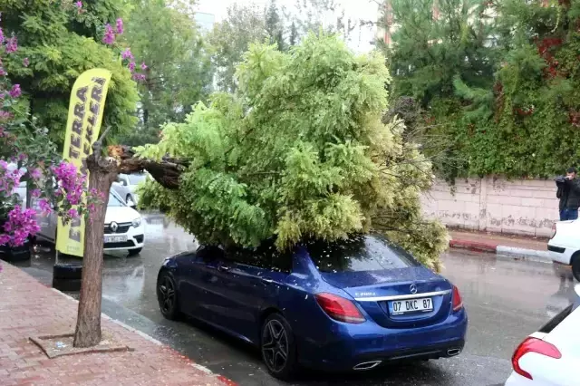 Belediyeye görüşmeye gitti, geri döndüğünde lüks aracını ağacın altında buldu