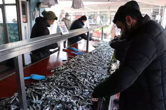 Balıkçılar fırtına nedeniyle denize açılamadı, hamsinin fiyatı 50 liraya kadar çıktı