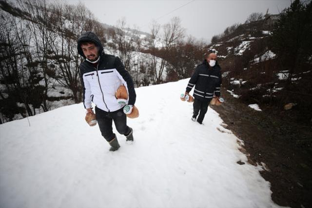 Mağaradan çıkan lezzet! Yerin 50 metre altında saklanan gilik peynirine talep arttı
