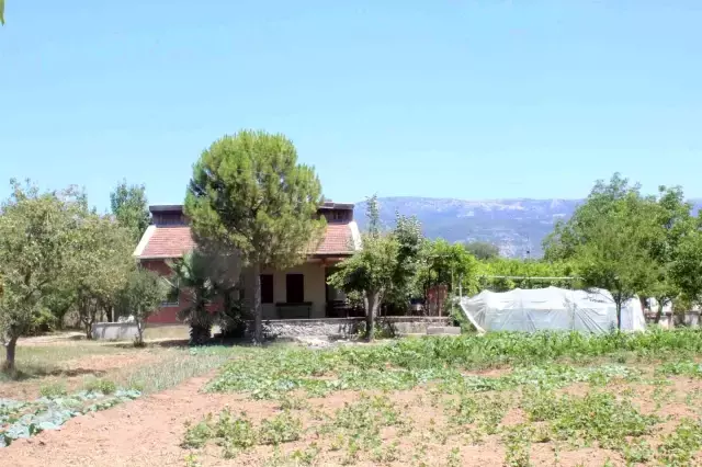 Pınar Gültekin cinayetinde Savcılık mütalaayı verdi! Cemal Metin Avcı'nın ailesin için de ceza talebi