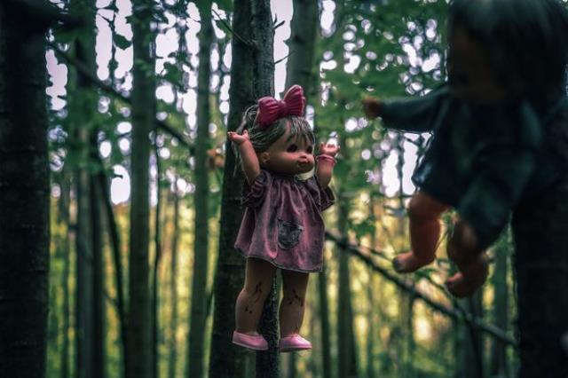 Ormanda gece vakti gezenler korkunç bir bölge keşfetti! Hiç kimse girmeye cesaret edemiyor