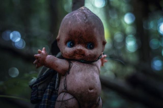 Ormanda gece vakti gezenler korkunç bir bölge keşfetti! Hiç kimse girmeye cesaret edemiyor