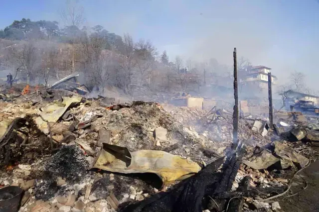 Bir köy küle döndü! Evler ve ahırlar yandı, yangını haber veren köpek köylülerin canını kurtardı