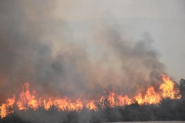 Havalar ısındı, orman yangınları başladı! OGM, hafta sonu için tehlikeye dikkat çekti