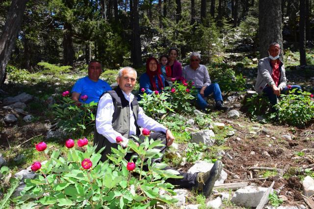 Yılda 10 gün açıyor! Güzelliğine aldanıp koparan 109 bin lira ceza öder