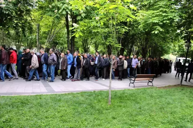 Her şey bedava fide almak için! Geceden sıraya giren vatandaşlar uzun kuyruklar oluşturdu
