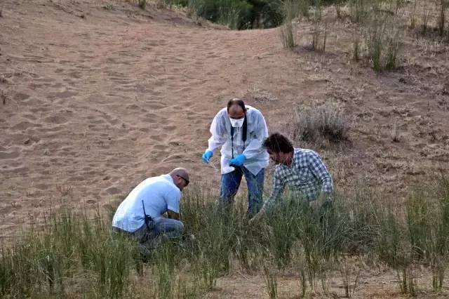 Etrafına çok sayıda fotoğraf saçılmış erkek cansız bedeni bulundu