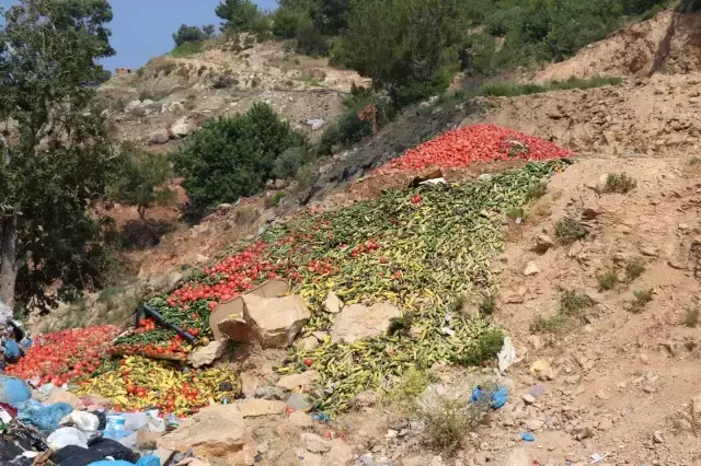 Çöpe dökülen sebzeler sosyal medyayı ayağa kaldırdı! Olayın aslı bambaşka çıktı