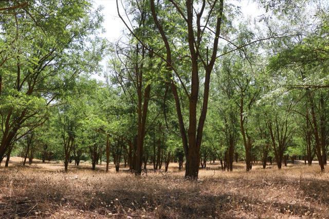 Arabistan değil Türkiye! Çöle benzediği için dizi çekilmişti, şimdi görenlerin ağzı açık kalıyor