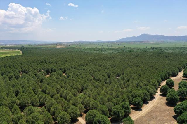 Arabistan değil Türkiye! Çöle benzediği için dizi çekilmişti, şimdi görenlerin ağzı açık kalıyor