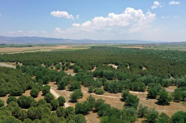 Arabistan değil Türkiye! Çöle benzediği için dizi çekilmişti, şimdi görenlerin ağzı açık kalıyor