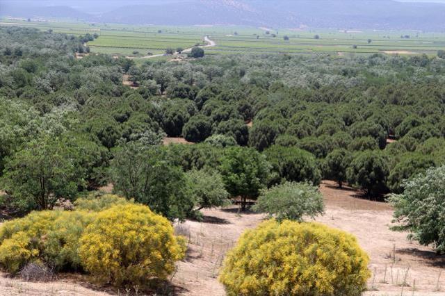 Arabistan değil Türkiye! Çöle benzediği için dizi çekilmişti, şimdi görenlerin ağzı açık kalıyor