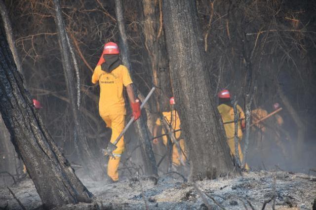 Ciğerlerimiz yanıyor! Marmaris'te durumun vahameti gün ağarınca ortaya çıktı