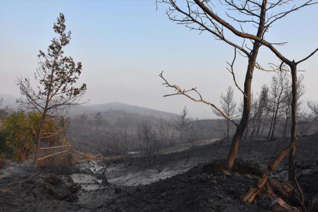 Ciğerlerimiz yanıyor! Marmaris'te durumun vahameti gün ağarınca ortaya çıktı