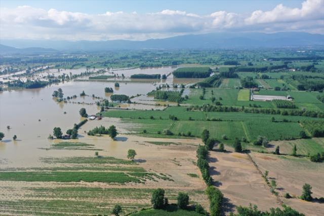 Sele teslim olan köyde tavuk çiftliğindeki 195 bin hayvan telef oldu! Çiftçi iflas bayrağını çekmek üzere