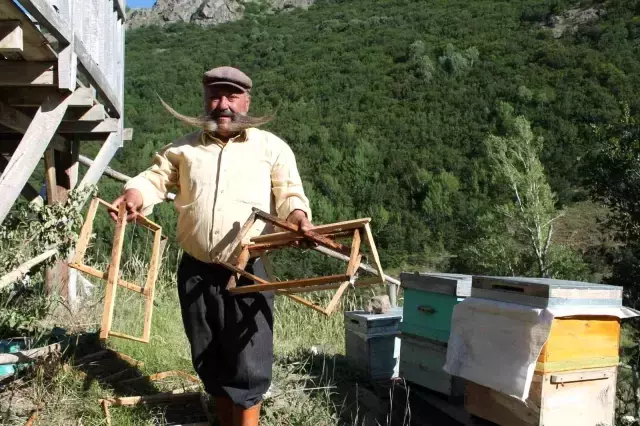 Ayının üzerine yürüyen meşhur pala dayı cesaretiyle ayıya geri adım attırdı