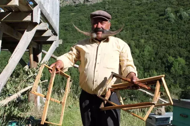 Ayının üzerine yürüyen meşhur pala dayı cesaretiyle ayıya geri adım attırdı