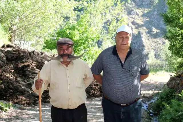 Ayının üzerine yürüyen meşhur pala dayı cesaretiyle ayıya geri adım attırdı