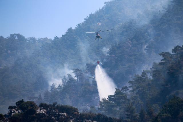Datça'da 24 saat süren orman yangının bilançosu: 7 kişi yaralandı, 10 ev hasar gördü, toplam 700 hektar alan alevlerden etkilendi